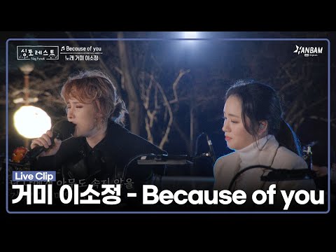 [싱포레스트] 거미 이소정 - Because of you Live ver. | 싱포레스트 LIVE CLIP