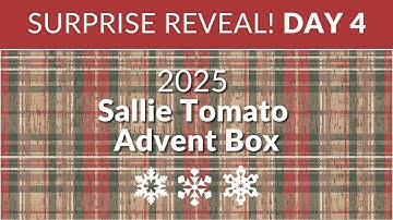 Unboxing Day 4 of the 2025 Sallie Tomato Hearth and Handcrafted Advent Box!