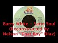 Barry White Satin Soul Reconstructed By Nelson That Boy Diaz mp3