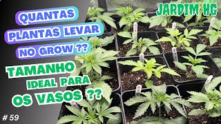 TAMANHO, TIPO, e QUANTOS VASOS no GROW de CANNABIS