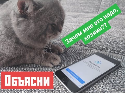 Видео: IPhone Riven е толкова голям, че носи предупреждение