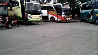 Telolet Gm Mahesa Lagu Sik Asik Akuanak Sehat Keong Racun Vs Tz 18