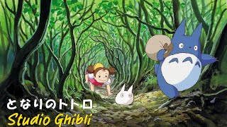 2 時間 ジブリメドレーピアノ💖【Relaxing Ghibli】Piano Studio Ghibli Collection 🌹 少なくとも1 回 は 聞くべ き🍀 となりのトトロ、崖の上のポニョ