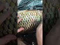 Лайфхак для чистки рыбы)))) #совет #хитрость #лайфхак