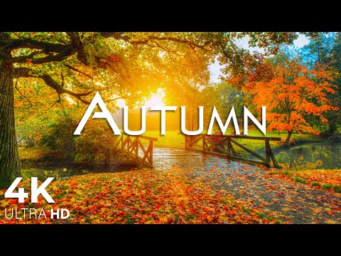 Enchanting Autumn Forests with Beautiful Piano Music🍁4K Autumn Ambience & Fall Foliage