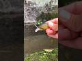 次世代のルアー？　#bassfishing #fishing #lure #ルアー #バス釣り #ルアーフィッシング #釣り