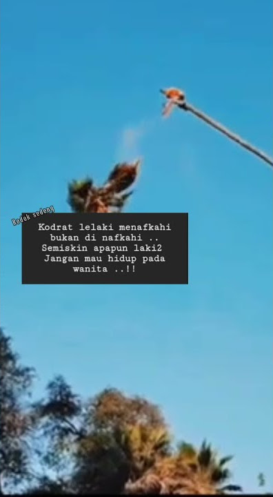 STORY WA TERBARU || KODRAT SEORANG LAKI LAKI