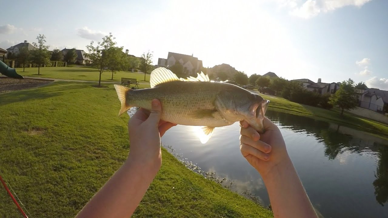Bass Fishing Ft Worth - YouTube
