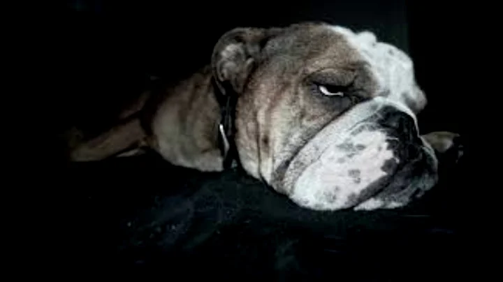 Morse Code Practice #1 (3 WPM)