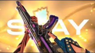 STAY - RADIANT CLIP DUMP