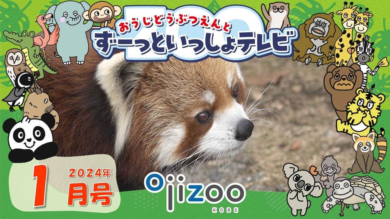 ＃１０　おうじどうぶつえんとずーっといっしょテレビ（2024年1月放送）