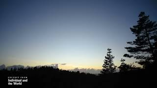 ALAN WATTS 🌟 INDIVIDUAL AND THE WORLD PT 1 FULL LECTURE 🌟 ALAN WATTS ORGANIZATION OFFICIAL 🌟