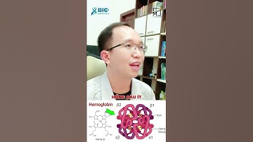 Thiếu máu và hồng cầu trong máu thấp có khác nhau không? | Bác Sĩ Trần Minh #short #shorts