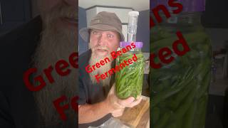 Green Beans Fermented