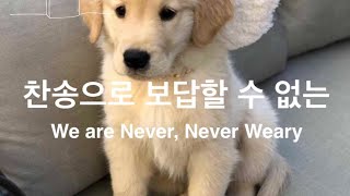 365ㅣ찬송으로 보답할 수 없는 We Are Never, Never Wearyㅣ40장ㅣHymn 찬송가 바이올린