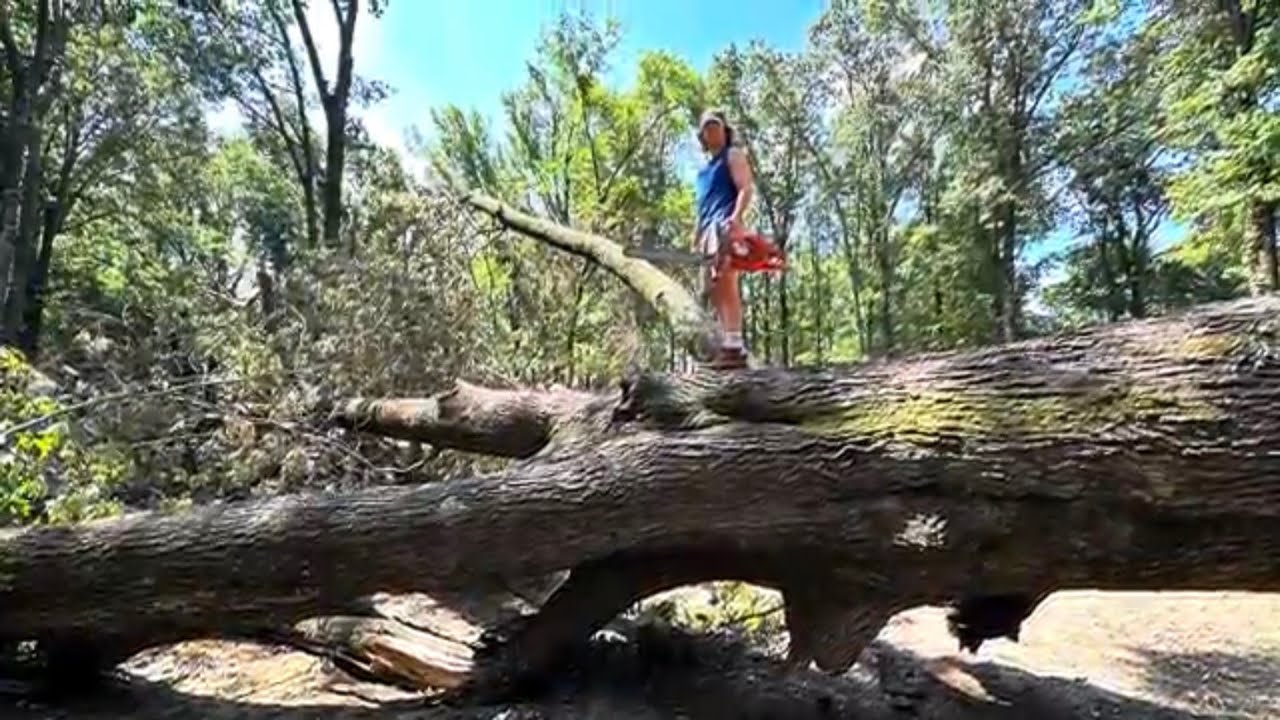 Storm Cleanup Begins - YouTube