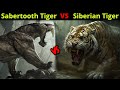 क्या होगा जब भिड़ेंगे दो महाभयंकर शेर | Sabertooth Tiger vs Siberian Tiger