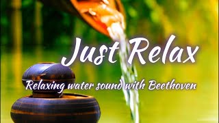 Relaxing Classical Music for stress Relief and Relaxation. Water Sound and Beethoven.