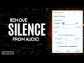 How to Remove Silence from Audio? Audacity: Truncate Detected Silence | Geek Savvy