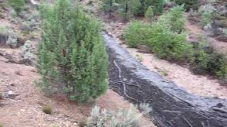 Main Canyon Flash Flood.avi