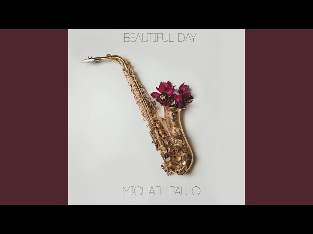 MICHAEL PAULO - BACK WITH THE FUNK