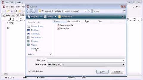 Beginner PHP Tutorial   61   $ SERVER Variables Script Name flv