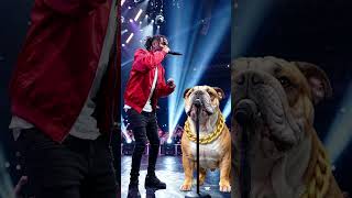 The high energy  musical  face off #rap #helpmemakethismakesense  #whydidntmyexcomeback #bulldog