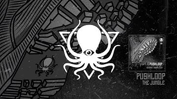 Pushloop - The Jungle (DDD013)