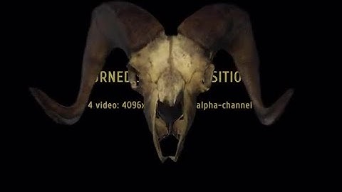 Horned Skull Transitions Stock Motion Graphics