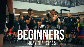 Celebrity What a Beginners Muay Thai Class Looks Like... Wealth