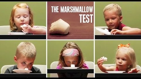 the marshmallow experiment | Instant gratification