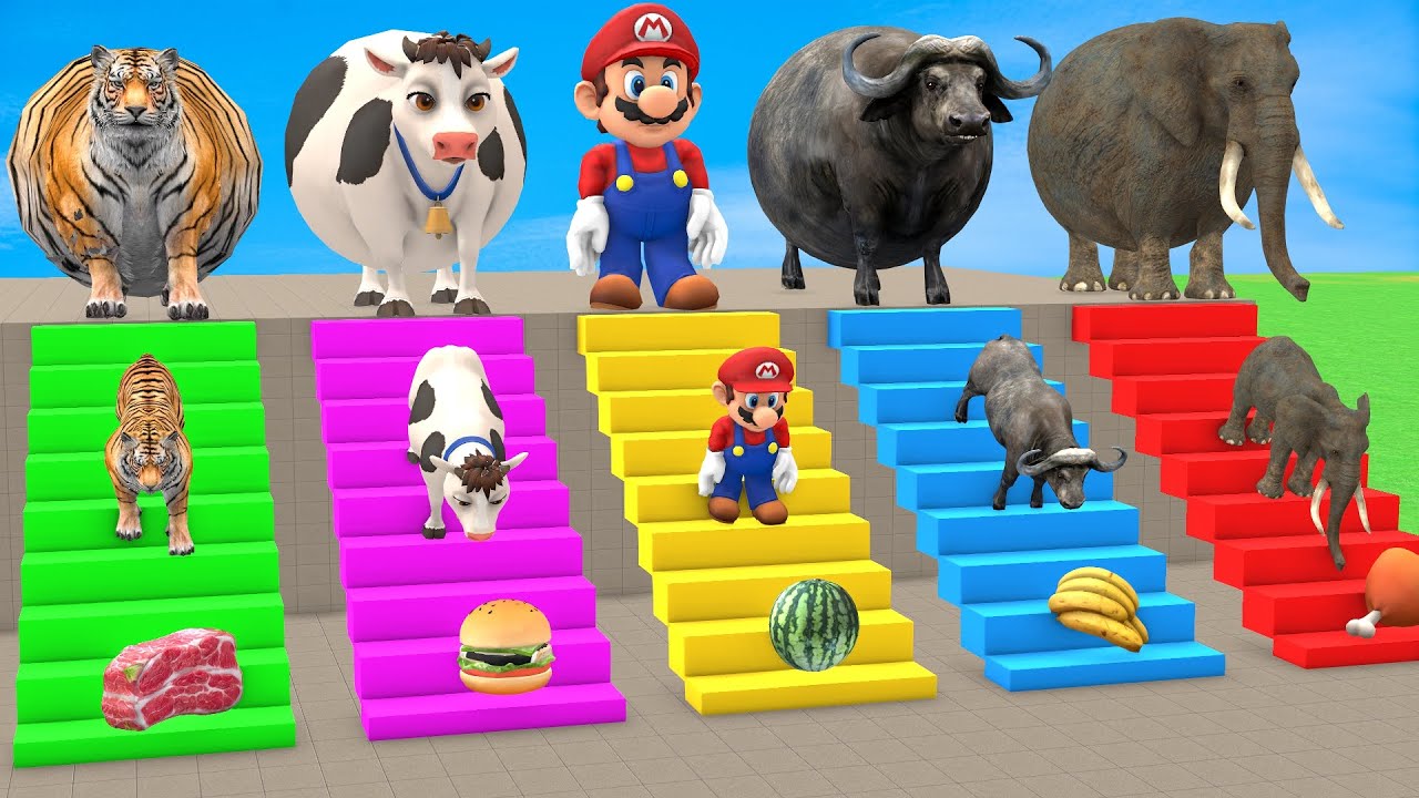 Long Slide Game With Cow Elephant Gorilla Hippopotamus Tiger 3d Animal Game Funny 3d Animals