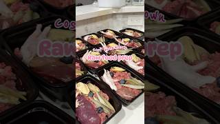 How much does 2 weeks of PMR cost🤔🍖 #diyraw #rawfeeding #rawdogfoodcost #pricebreakdown ￼#rawfood