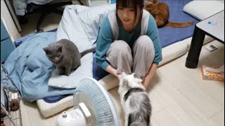 すずまろ９歳、ママが謎のバースデーソングを歌う