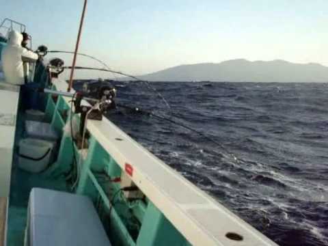 金目鯛釣り77匹と仕掛け Youtube