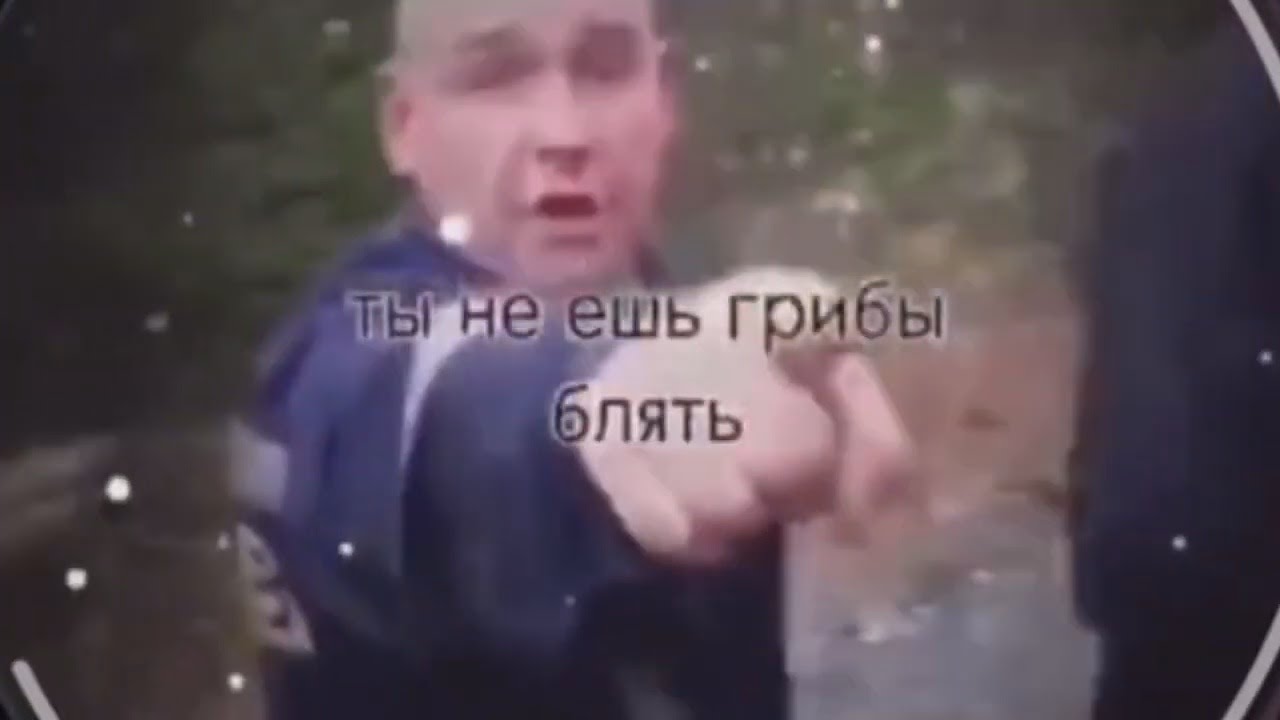 Ты не ешь грибы!!! - YouTube