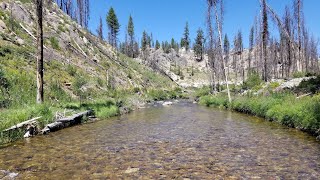 Out there #3 Crooked river Idaho