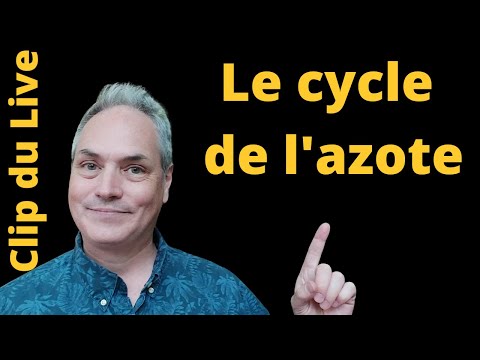 Vidéo: Pourquoi les nodules racinaires sont importants dans le cycle de l'azote ?