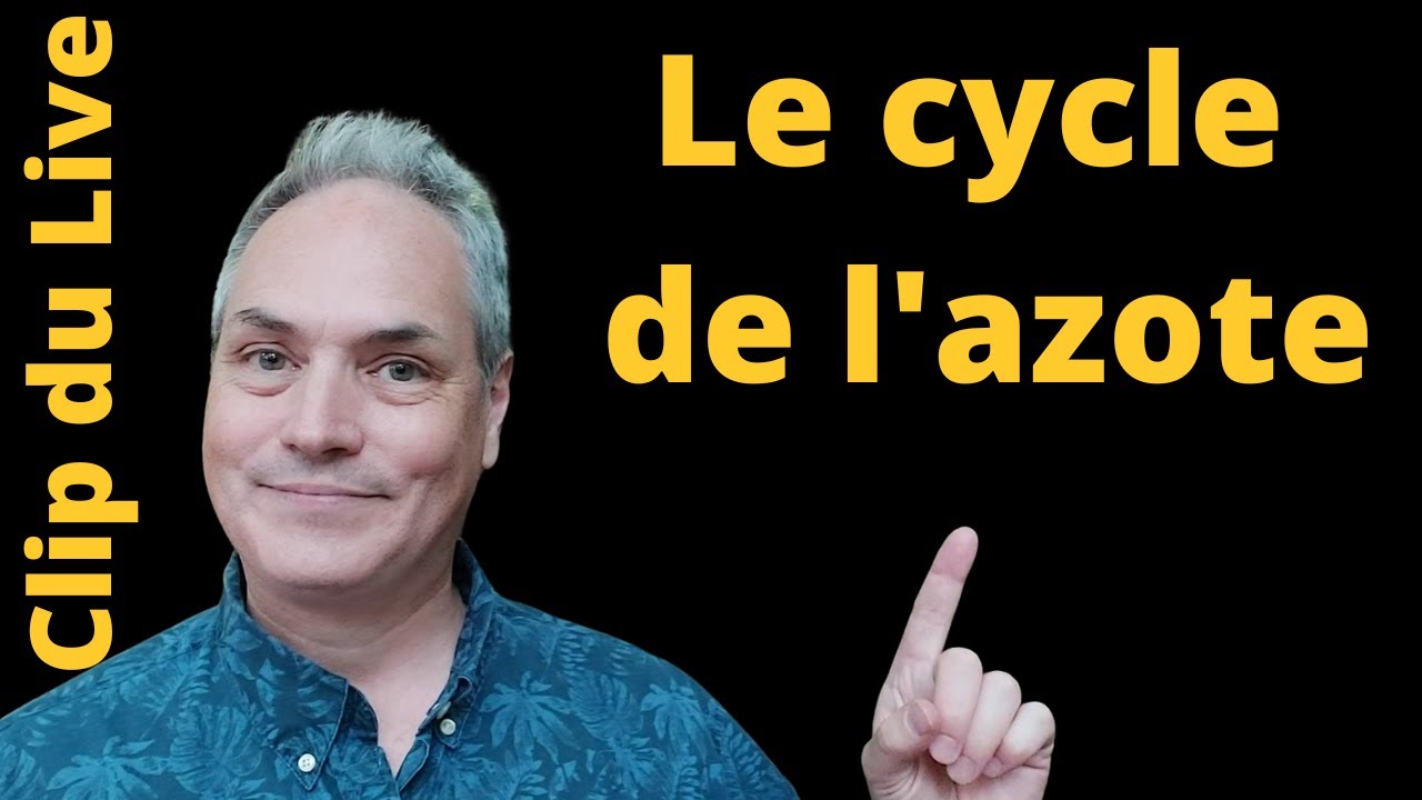 Qu'est-ce que le Cycles de l'azote?  Fixation de l'azote - Nitrification - Dénitrification