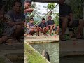 kebahagian pemancing adalah melihat ikan lapak tetangga lepas #mancing
