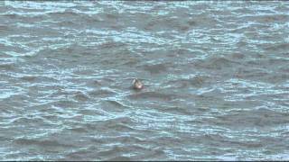 20120104.wmv