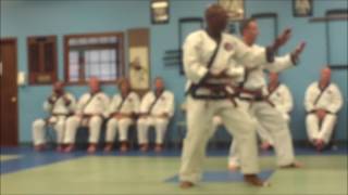 TSDMGK 7th Dan Test 2017