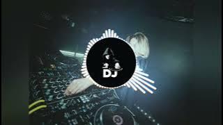 Tor nili nili akhi jadu kari dela dj song...🎧🎧