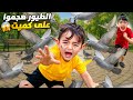 اخذنا كموتة مشوار لحتى يشوف الطيور هجمت عليه وعلى خلودة 
