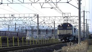 配9772レ EF64 1031+E233系NT8編成