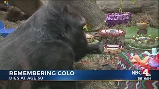 Columbus Zoo remembers Colo