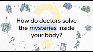 👉 How Doctors Diagnose Disease: The Complete Medical Diagnosis Process