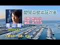 青山新の新曲《霧雨の夜は更ける》は2021年に発売された。空撮場所:台湾・花蓮。歌詞付き