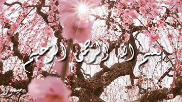 قران كريم بصوت رعد محمد الكردي/ اجمل حالات واتس اب دينية / تلاوة خاشعة
