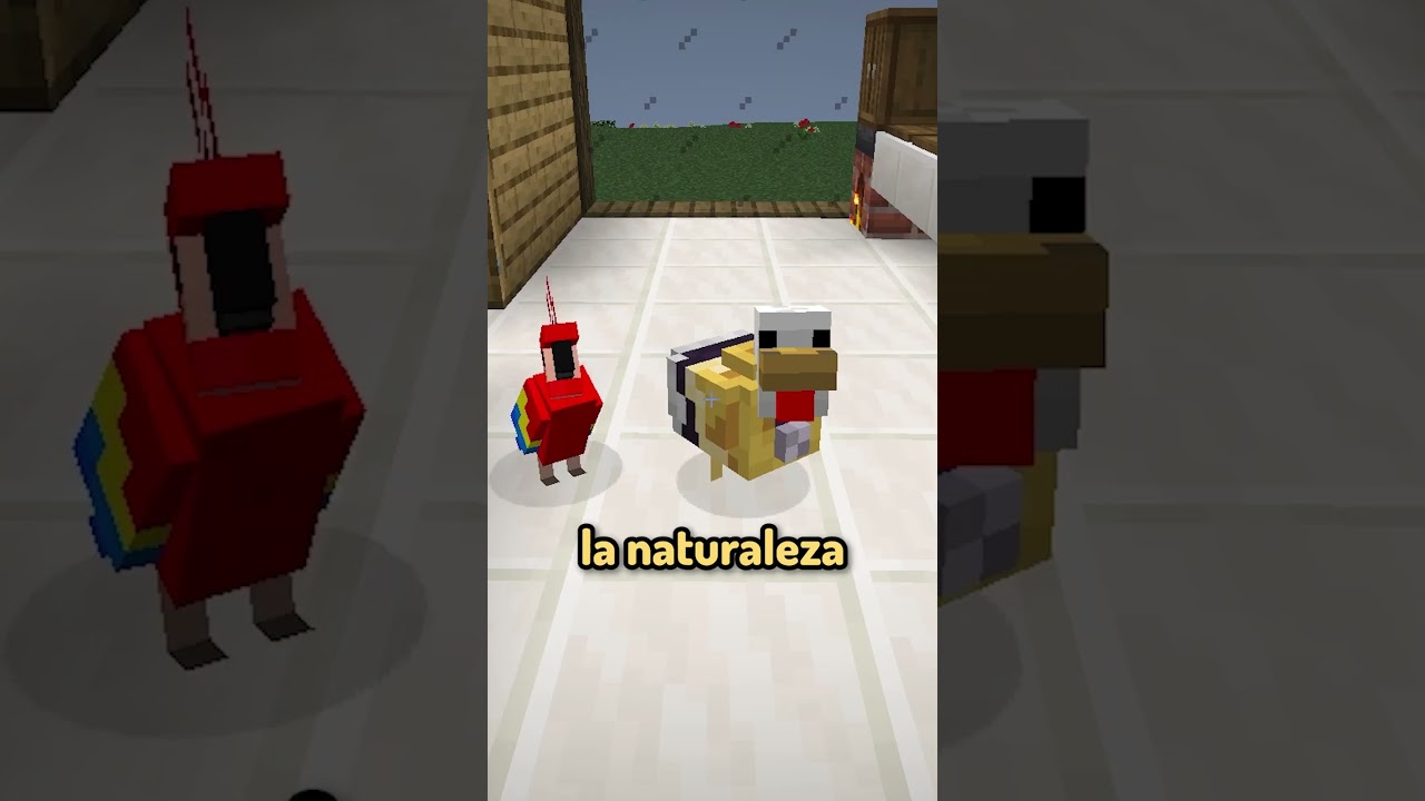 Pollo encontró a un pájaro herido 😢 #shorts #minecraft